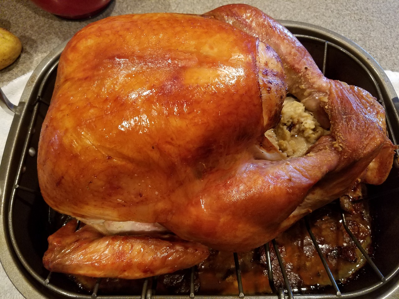 a turkey